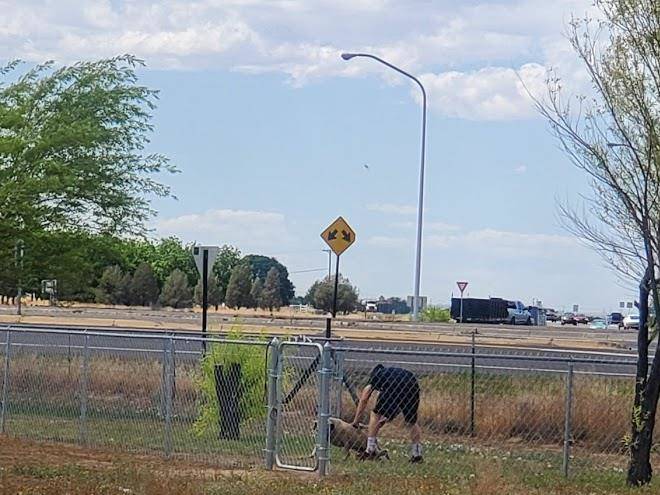 Midway rv park