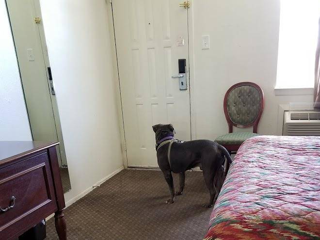 Hobbs family inn