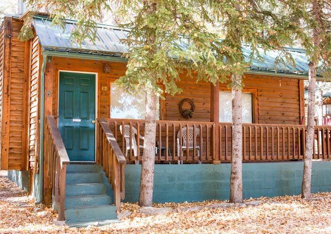 Cozy bear cabins