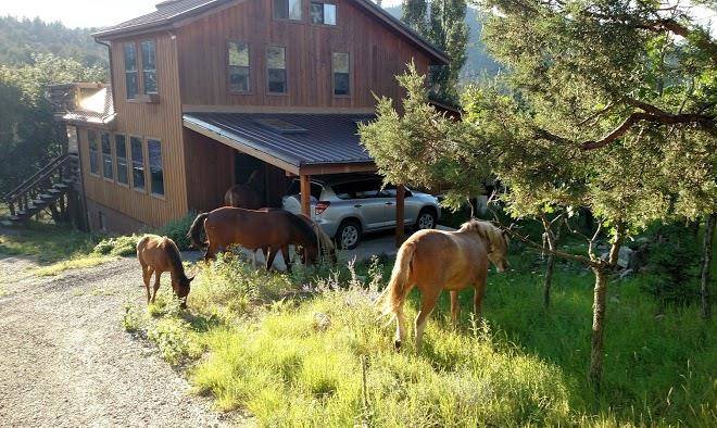 La junta guest ranch