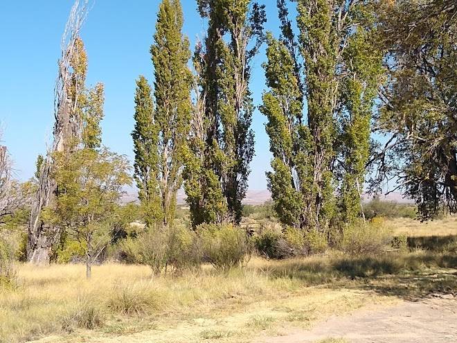 Mountain springs ranch rv park