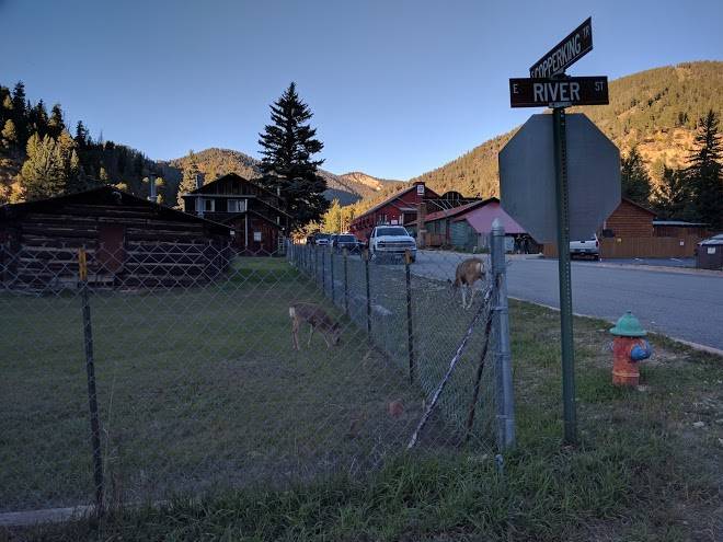 Double dog inn
