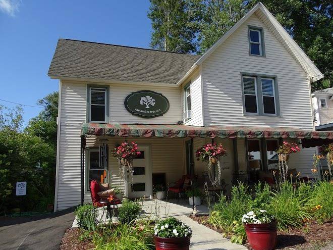The amber tree inn