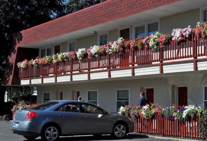 Blue Spruce Inn & Suites Image