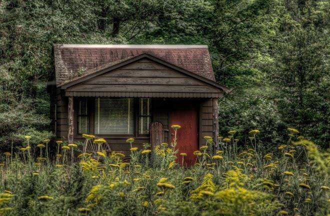 Dartbrook lodge