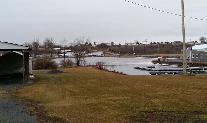 Martin's marina inc