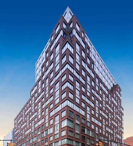 Hilton brooklyn new york