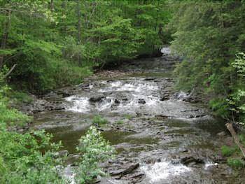Cliffside by the falls
