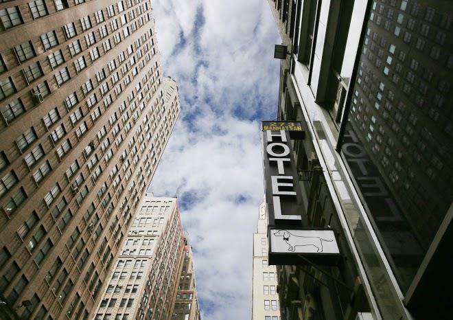 Doxie hotel