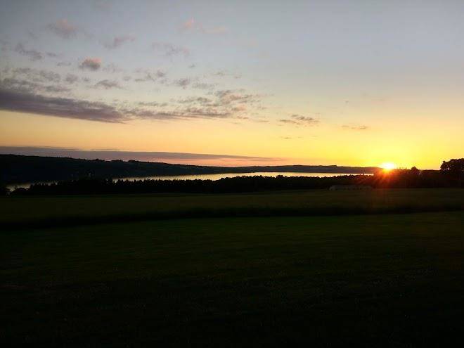 Pine grove b & b