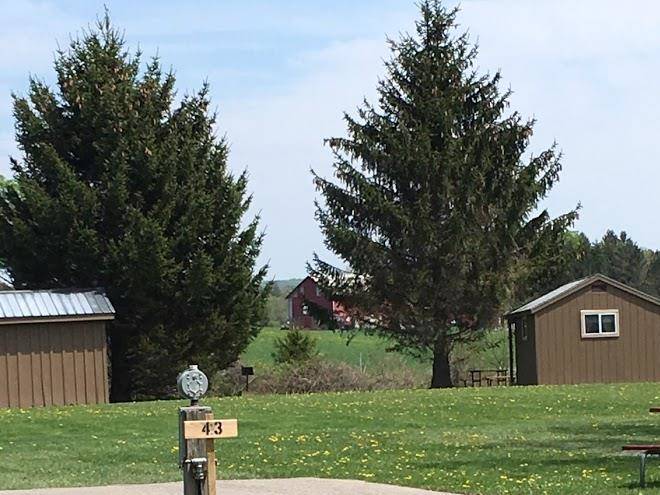 Cooperstown deer run campground