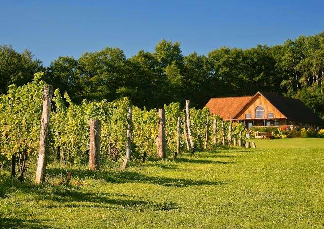 Buttonwood grove winery