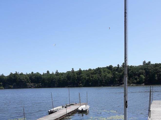 Sunnyside of black lake
