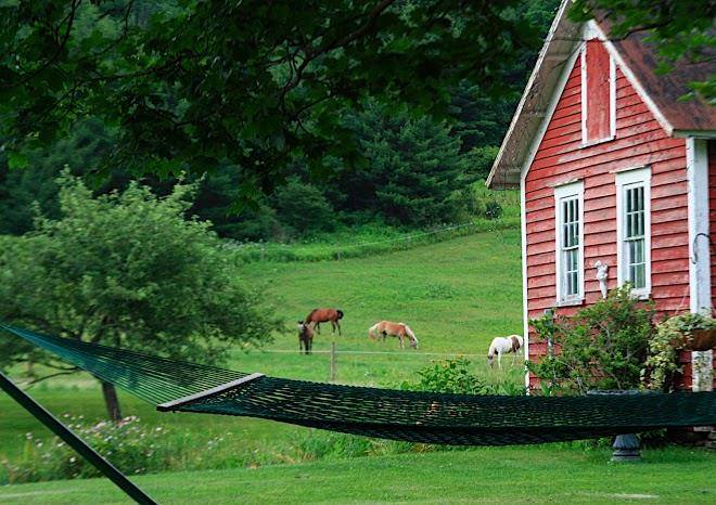 Feather tick 'n thyme bed and breakfast