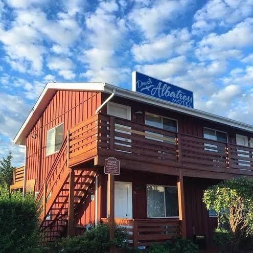Daunt's albatross motel