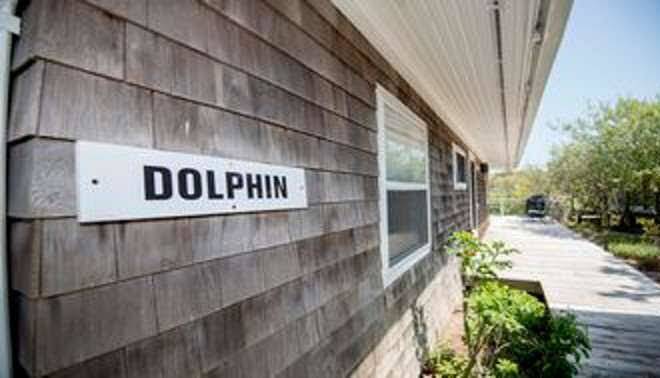 Driftwood On The Ocean Image