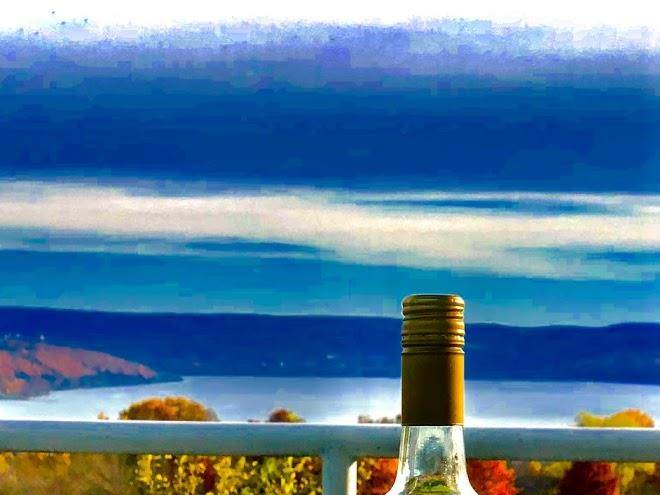 Cayuga lake inn ithaca hotel alt