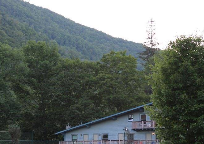 Catskill seasons inn