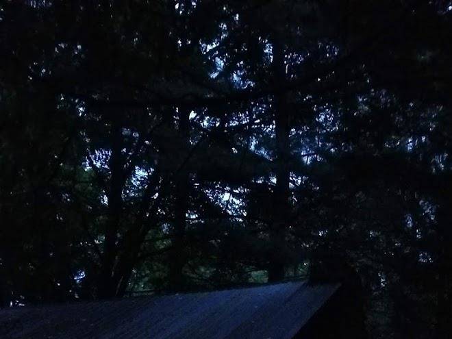 Trout lake club