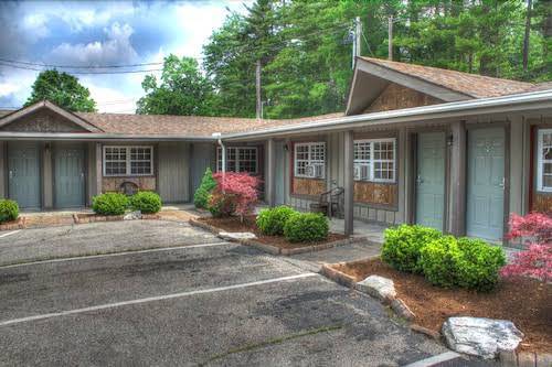 The shady lawn lodge