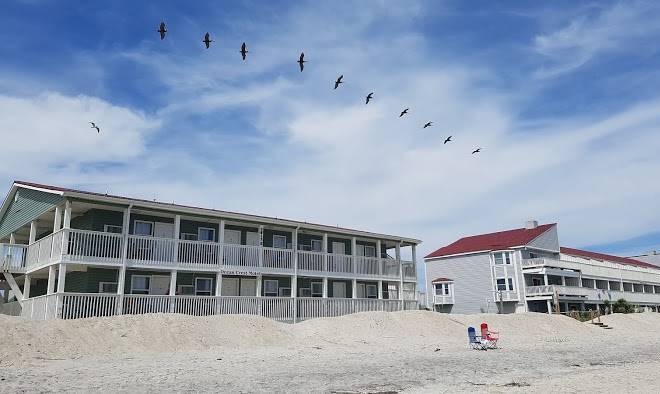 Ocean Crest Motel Image