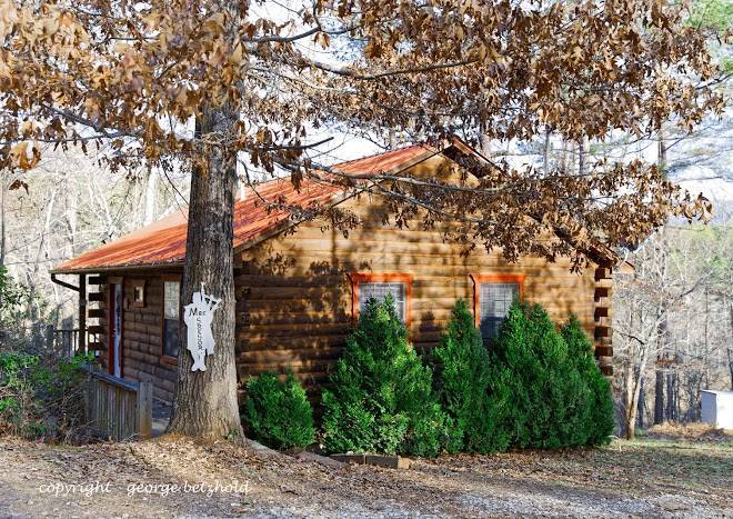 Scottish woods log cabin resort
