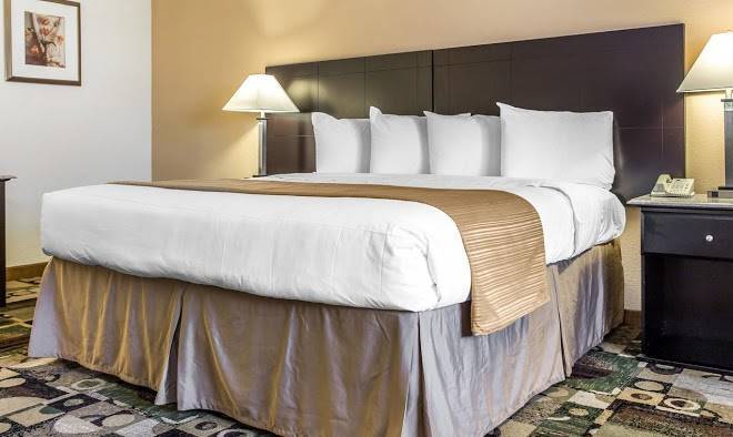 Quality inn & suites coliseum