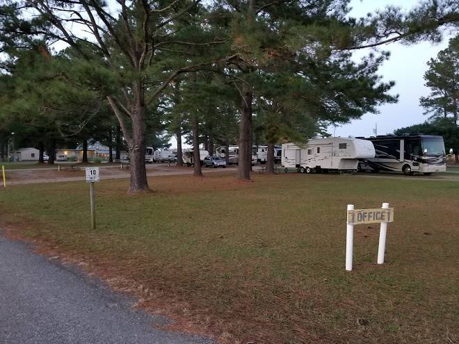 Enfield koa