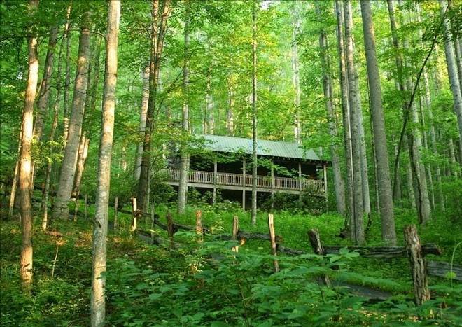 Cabin on eagles nest