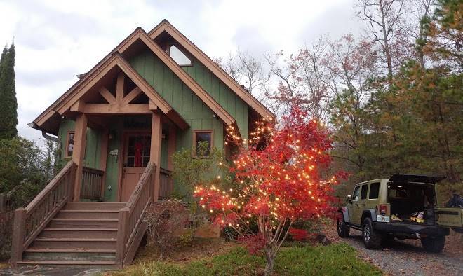 Bear necessities cabin