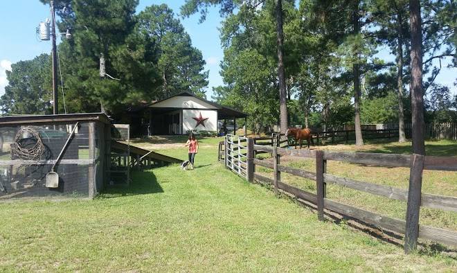 Tanglewood farm bed and breakfast