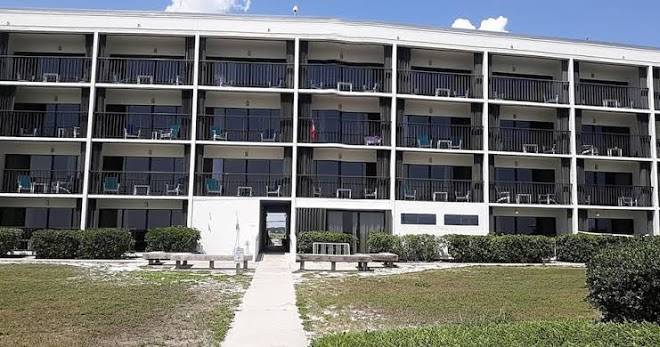 The surf suites