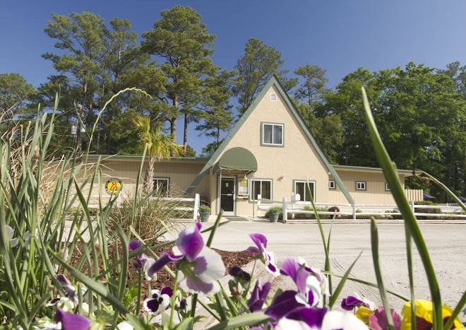 Wilmington Koa Holiday Image