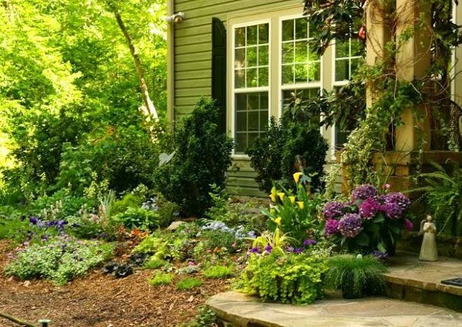 Butterfly creek inn tryon