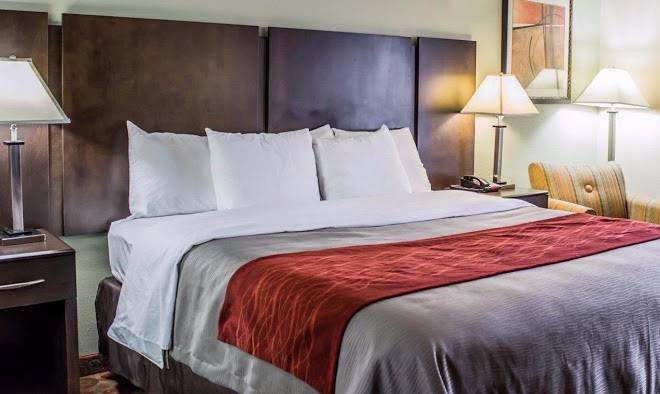 Quality inn raleigh downtown