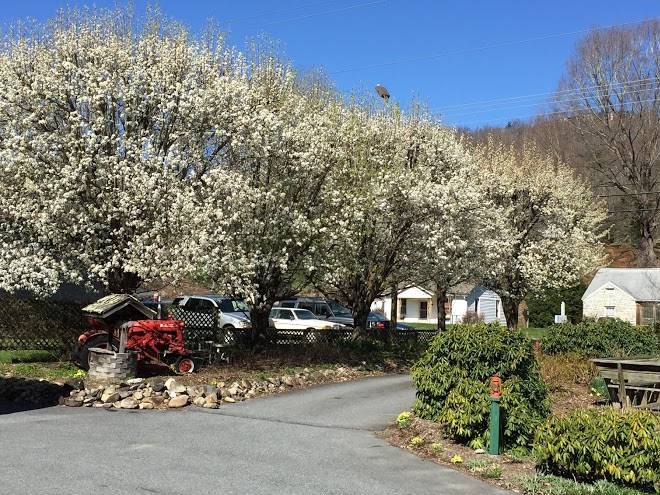 Hidden valley motel