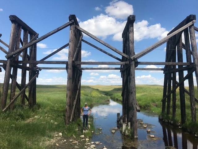 Rolling plains adventures