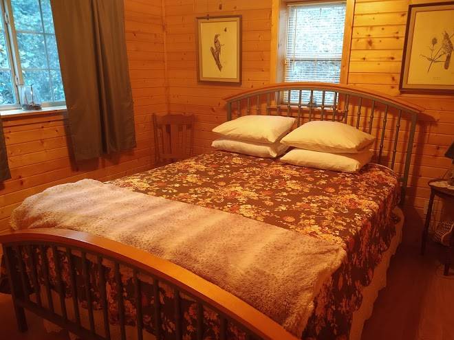 Hickory grove cabins