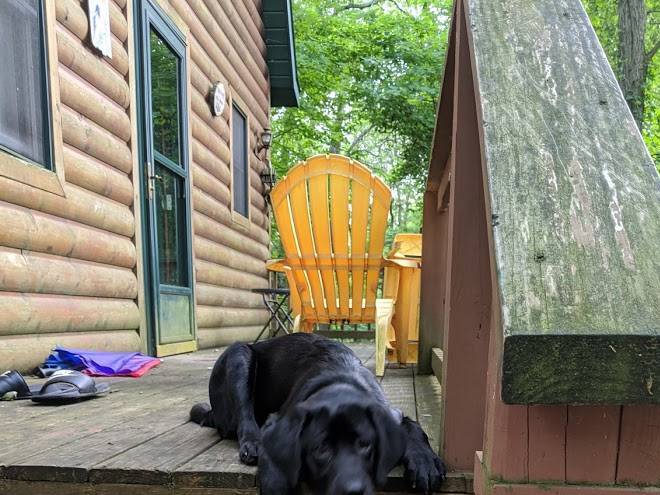 Ethan's retreat in the woods