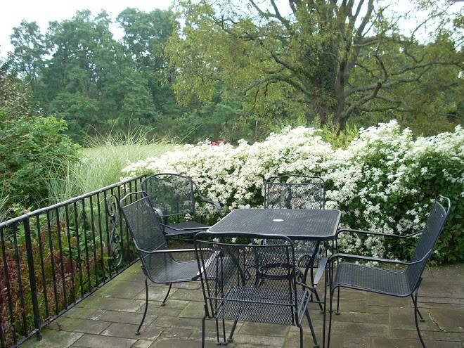 The sanctuary at wild rose acres