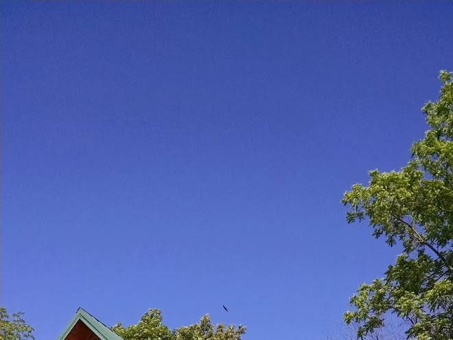 Kd guest ranch