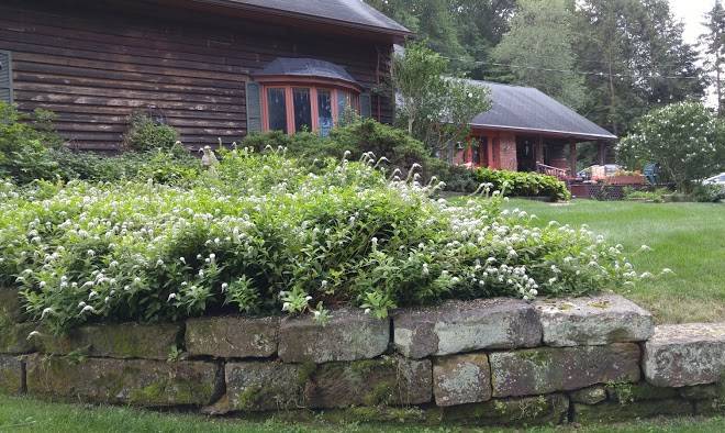 Angelwoods hideaway b & b