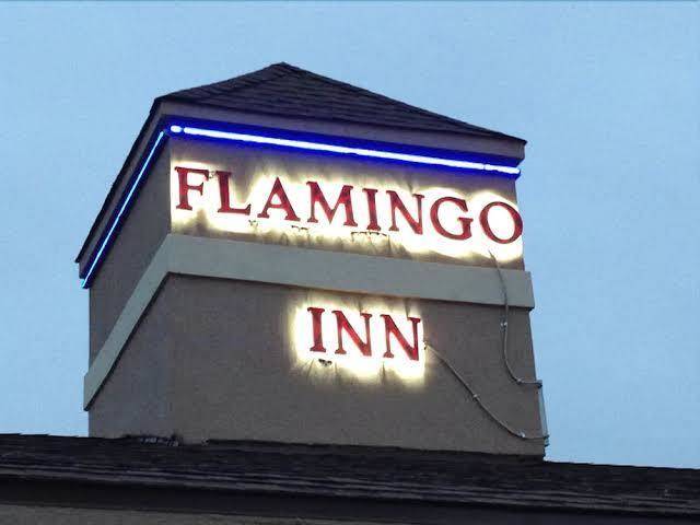 Flamingo inn