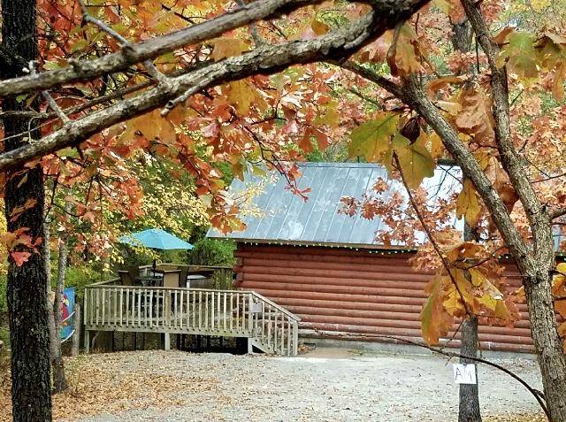 Pine lodge resort