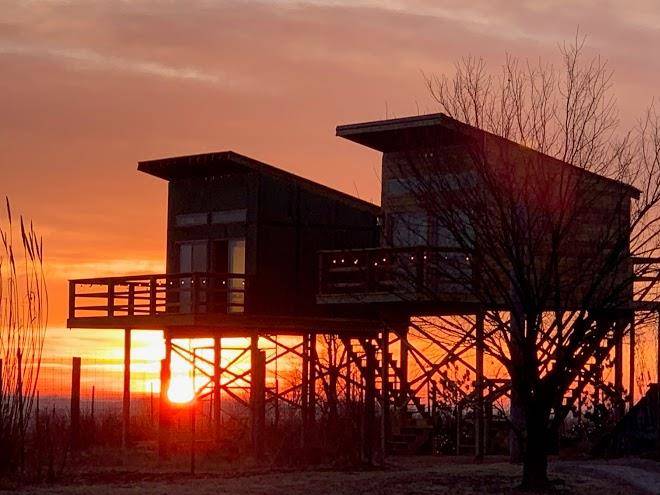 Safari huts