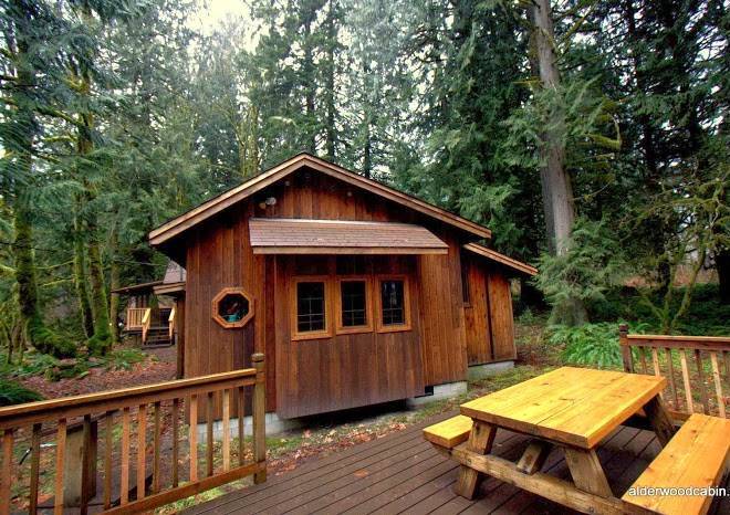 Alderwood cabin