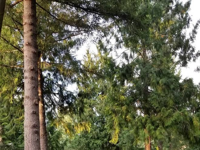 The spa at the resort at the mountain