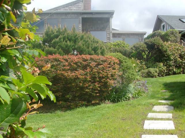 Shaw's oceanfront