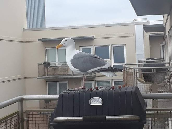 Worldmark by wyndham