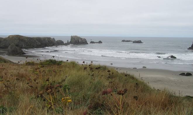 Coquille point condominiums